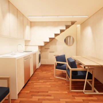 Chicago Tiny House - Coach House Accessory Dwelling Unit