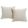 Summon 2 Piece Outdoor Patio Pillow Set, Beige