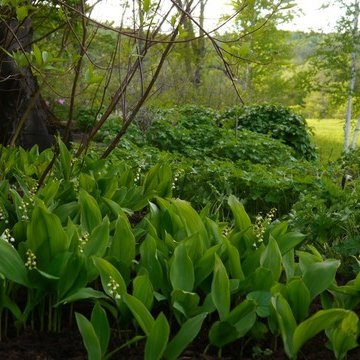 Estate Garden, East Barnard, Vermont