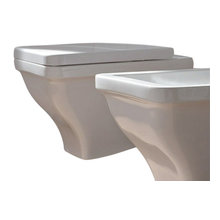 Wall hung toilets