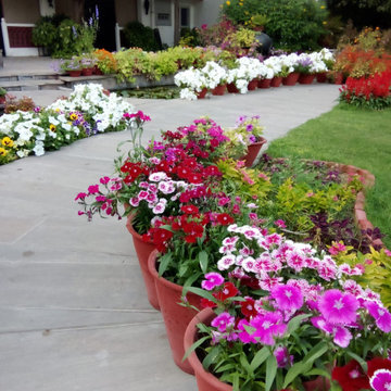 GOLCHA FARM HOUSE JAIPUR