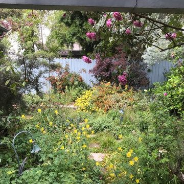 Pasadena Cottage Garden: flowers galore