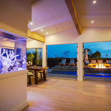 Saltwater Aquarium
