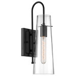 Nuvo Lighting - Alondra One Light Wall Sconce, Black - Alondra 1 Light Wall Sconce Fixture Black Finish with Clear Glass