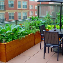 Modern Garden Wall