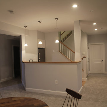 Belmont basement conversion