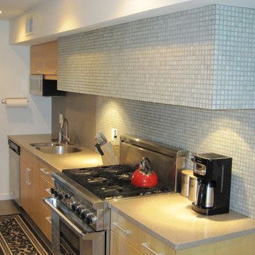 Lafayette Hill, PA/US Kitchen (suburban Philadelphia)