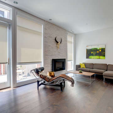 Living Room automated screen shades