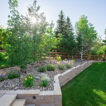 Backyard Escape