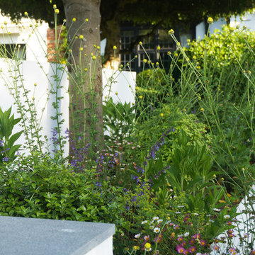 Maidstone - Relaxing Courtyard Garden