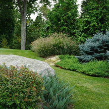 Side yard