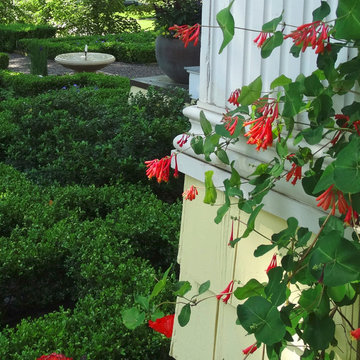 Formal City Garden