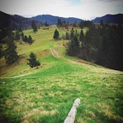 Алексей Гафиатуллов's photo