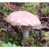 Ann Bandstra's photo