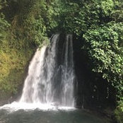tavleen batth's photo