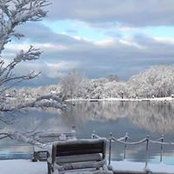 Mardella Venable's photo