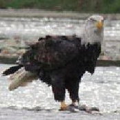Nancy Doyle's photo