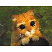 El Gato Con Botas's photo