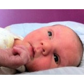 Lisa Watts's photo