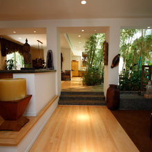 Jungles House