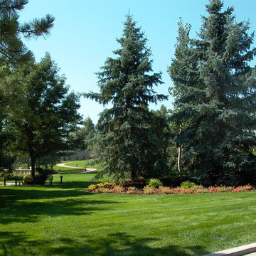 Beautiful Waterfall And Koi Pond - Greeley, CO
