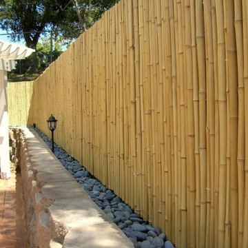 Bamboo Fencing