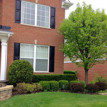 Front landscape