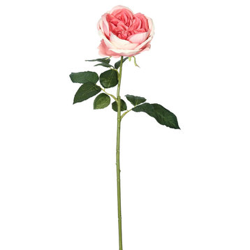 25" Open Rose Stem-Dk Pink 6/Pk
