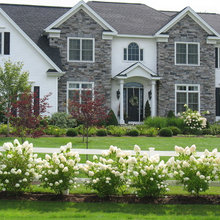 Landscape Ideas