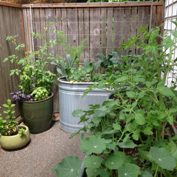 Plant Passion Garden