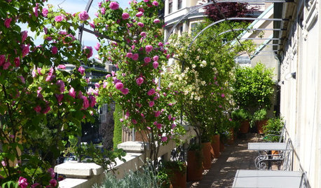 I Lavori di Maggio in Giardino e in Terrazzo