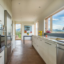 Windows & Trim