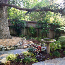 Rock Garden