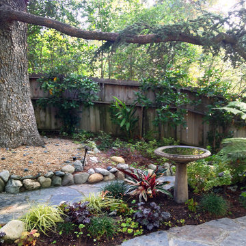 Enchanted Shade Garden- Laurel Canyon