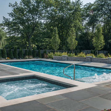 Highland Park,IL Swimming Pool, Separate Elevated Hot Tub, Sunshelf w/ Bubblers
