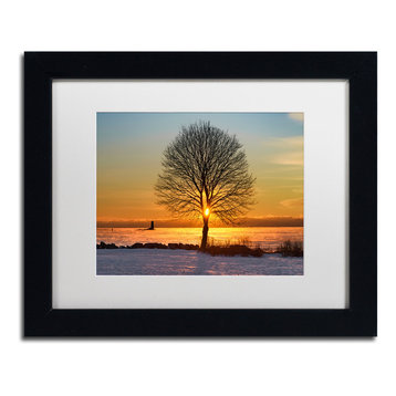 Michael Blanchette Photography 'Eye of the Tree' Matted Framed Art, 14x11