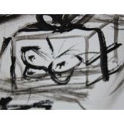 Marco Nettis's photo