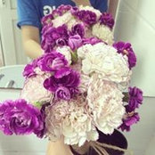 Nguyen Ngoc's photo