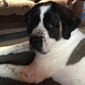 Lynn Berger's photo