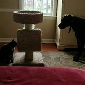Colleen Oshaughnessy's photo