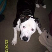 Sandi Gravatt's photo