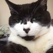 Rosemarie DeCaro's photo