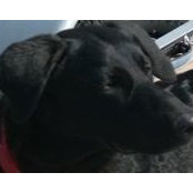 Patty Drabing's photo