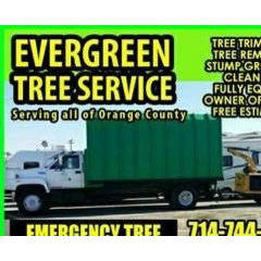 Evergreen Tree Service