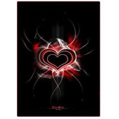 Paula Johnson's photo