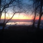 Janice Arnason's photo