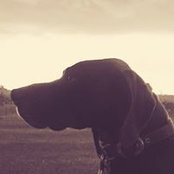Kerri May's photo