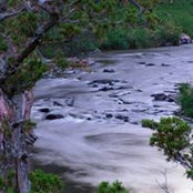 Sue Thorson's photo
