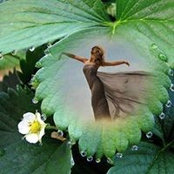 Foto von Ester Malachi