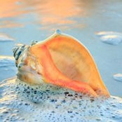 Joy Ipock-Hepler's photo